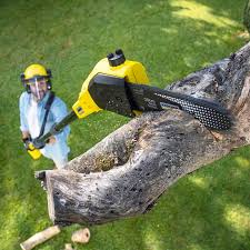 Grundy, VA Tree Care Company