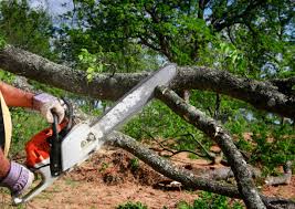 Best Commercial Tree Services  in Grundy, VA