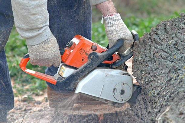 Best Emergency Tree Removal  in Grundy, VA